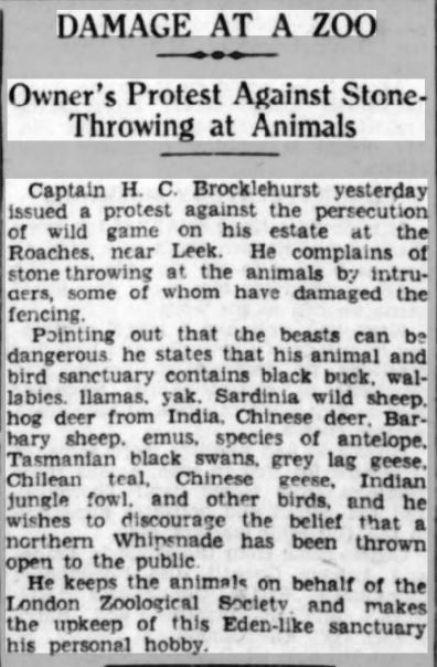 Stone throwing article